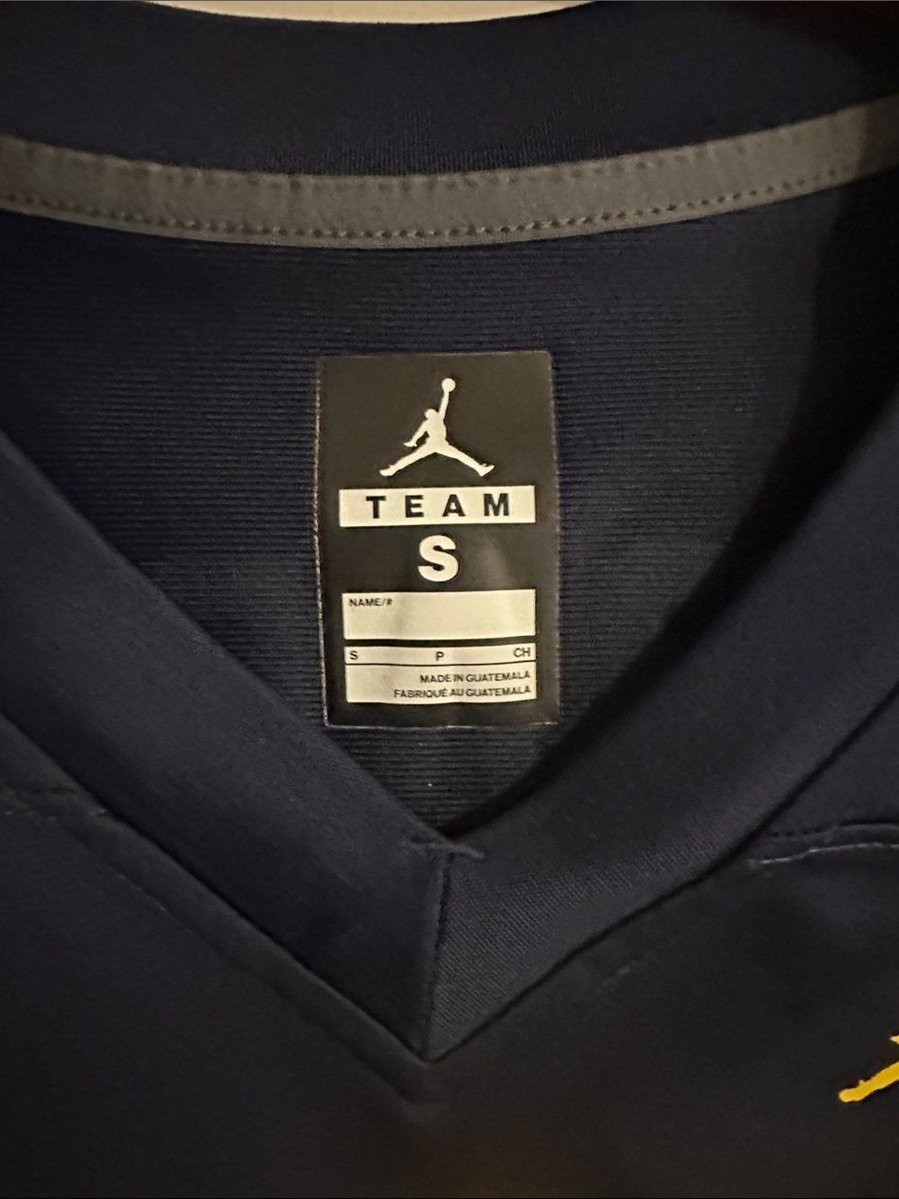 Tom Brady Michigan Wolverines Air Jordan Jersey View 2